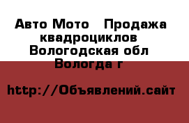 Авто Мото - Продажа квадроциклов. Вологодская обл.,Вологда г.
